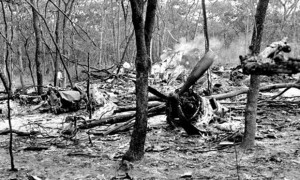 The wreckage of the plane carrying Dag Hammarskjöld in a forest near Ndola in what is now Zambia. Photograph: AP 