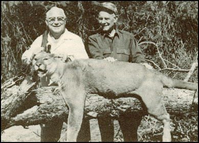 Two men stand beside a large mountain lion resting on a log in a natural setting.